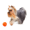 Іграшка для собак Liker М'ячик 7 см (6294) зображення 2