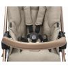 Коляска Peg-Perego Book Mon Amour (рожеве золото) (IP23000000BA36PL00) зображення 3