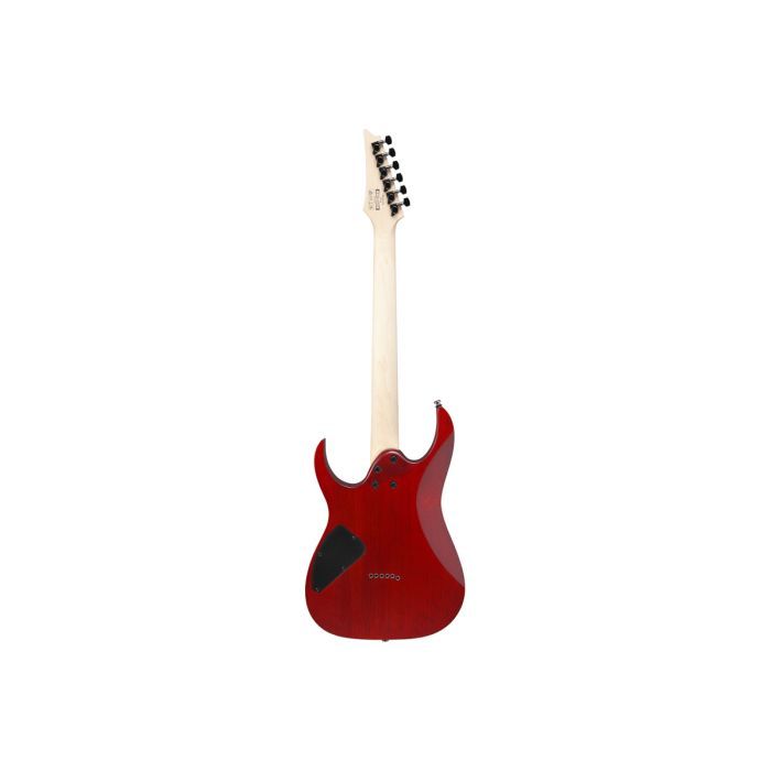 Електрогітара Ibanez RG421PB CHF (230535) зображення 2