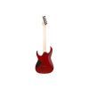 Електрогітара Ibanez RG421PB CHF (230535) зображення 2