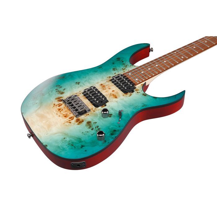 Електрогітара Ibanez RG421PB CHF (230535) зображення 4