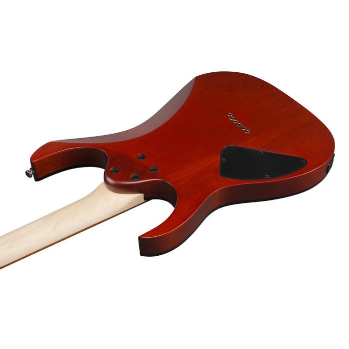 Електрогітара Ibanez RG421PB CHF (230535) зображення 5