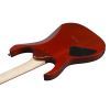 Електрогітара Ibanez RG421PB CHF (230535) зображення 5