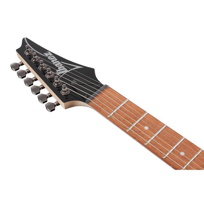 Електрогітара Ibanez RG421PB CHF (230535) зображення 6