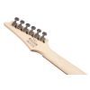 Електрогітара Ibanez RG421PB CHF (230535) зображення 7