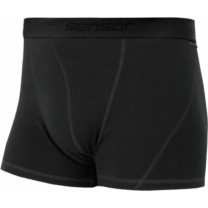 Термотрусы Sensor Merino DF black 15100027 XL (SM21M-black-XL)