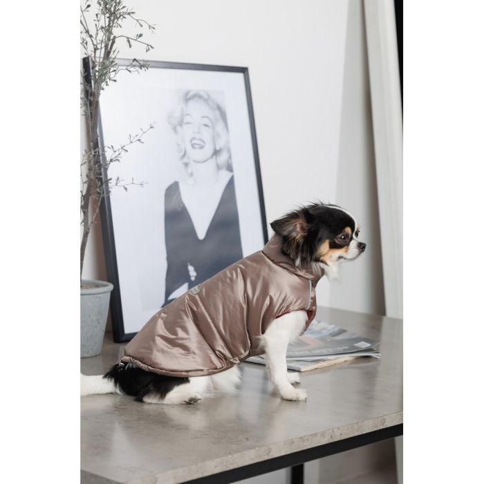 Жилет для тварин Pet Fashion Hardy S2 (4823082437504) зображення 6