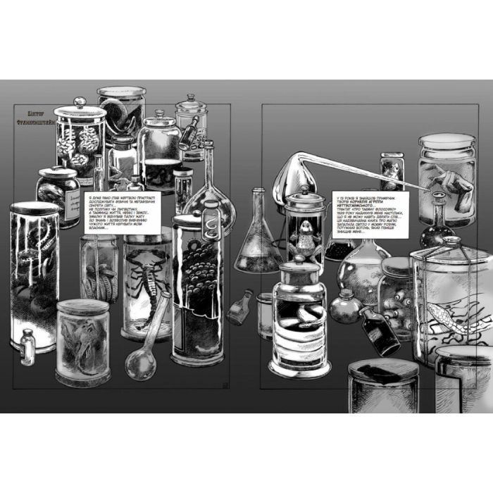 Комикс Франкенштайн - Жорж Бесс, Мері Шеллі Readberry (9786170995094) изображение 7