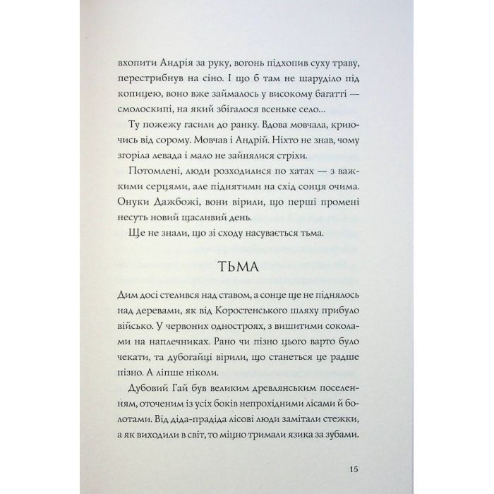 Книга Витязь і Вірлиця - Наталія Довгопол Жорж (9786178023409) изображение 12