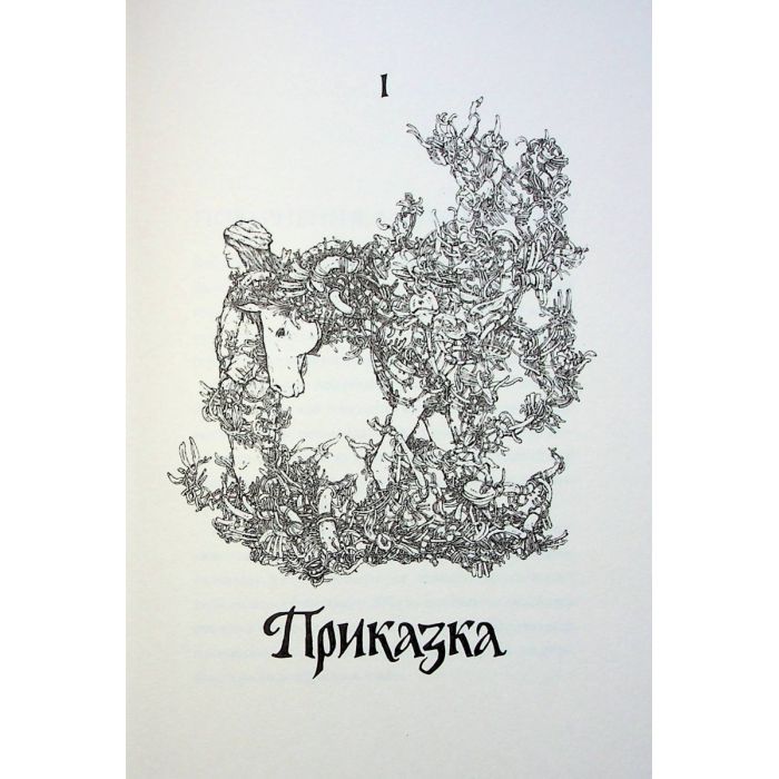 Книга Витязь і Вірлиця - Наталія Довгопол Жорж (9786178023409) изображение 3