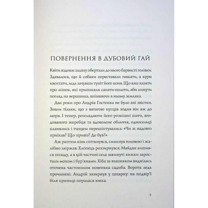 Книга Витязь і Вірлиця - Наталія Довгопол Жорж (9786178023409) изображение 4
