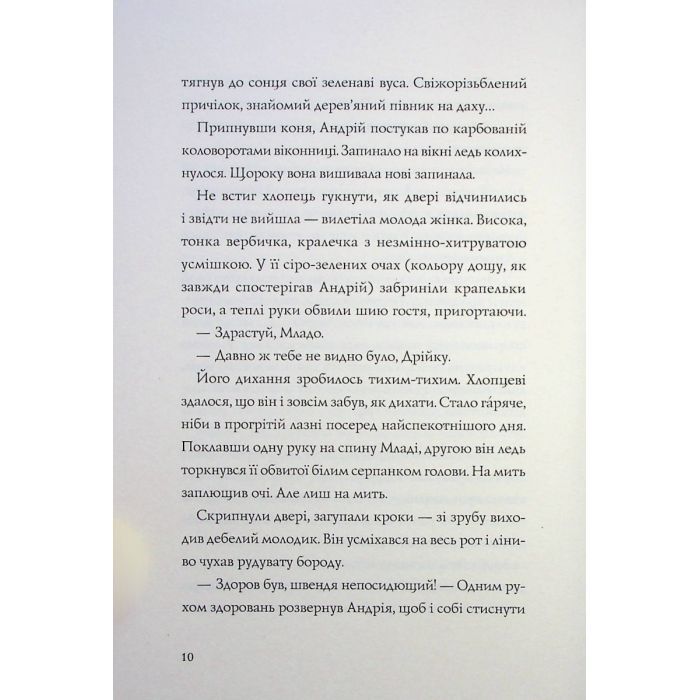 Книга Витязь і Вірлиця - Наталія Довгопол Жорж (9786178023409) изображение 7