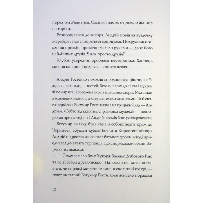 Книга Витязь і Вірлиця - Наталія Довгопол Жорж (9786178023409) изображение 9