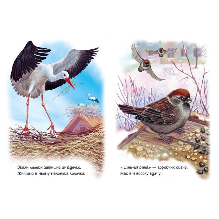 Книга Малятам про звіряток. Поруч з нами - Геннадій Меламед Ранок (9786170978738) изображение 2