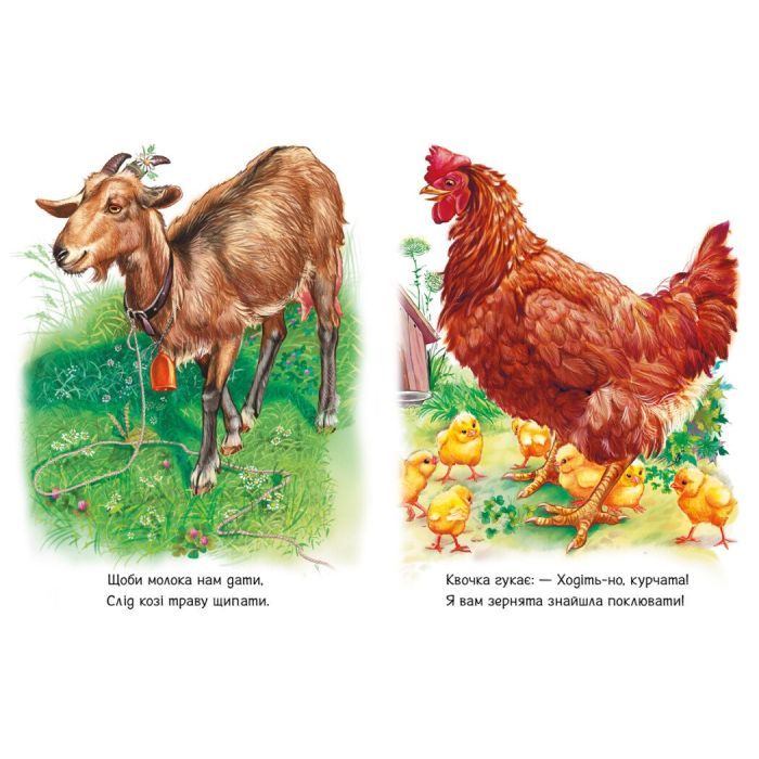 Книга Малятам про звіряток. Поруч з нами - Геннадій Меламед Ранок (9786170978738) изображение 3