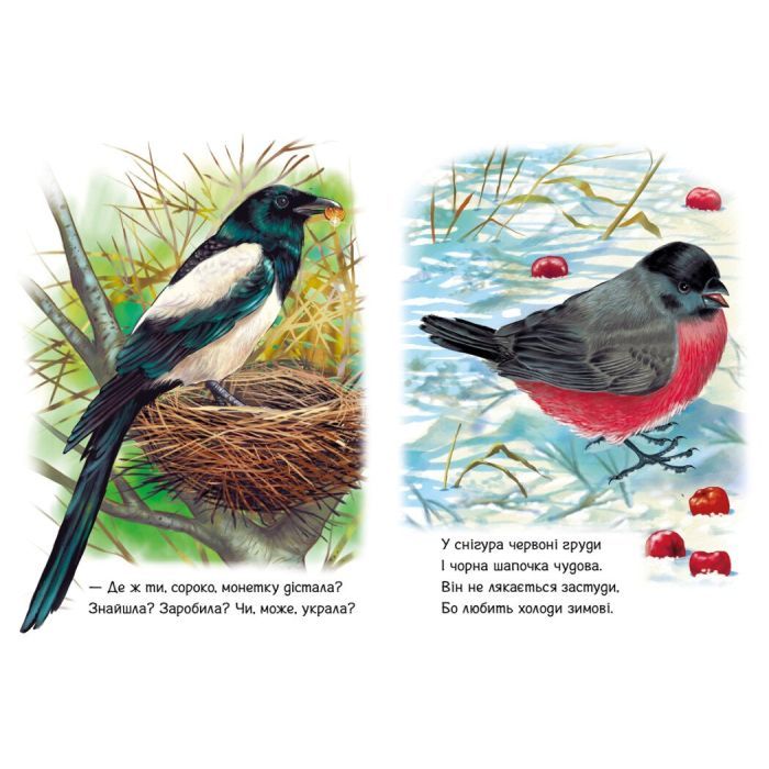 Книга Малятам про звіряток. Поруч з нами - Геннадій Меламед Ранок (9786170978738) изображение 4