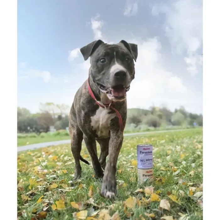 Консервы для собак Comfy Appetit Premium с уткой 400 г (5905546340571) изображение 4