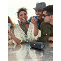 Акустическая система JBL Flip Essential Gunmetal Grey (JBLFLIPESSENTIAL) изображение 8