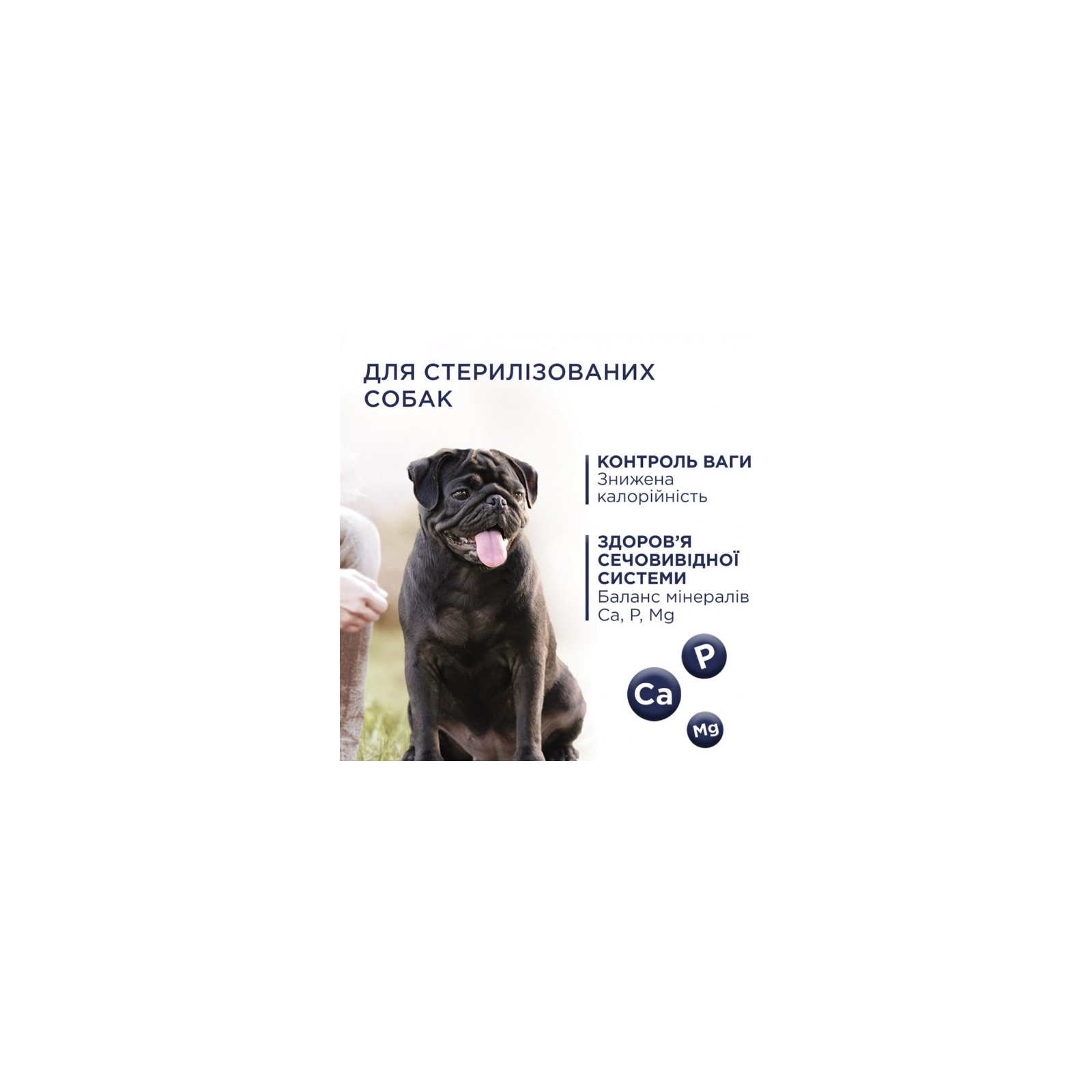 Сухий корм для собак Club 4 Paws Преміум. Контроль ваги з індичкою для малих порід 5 кг (4820215367851) зображення 2
