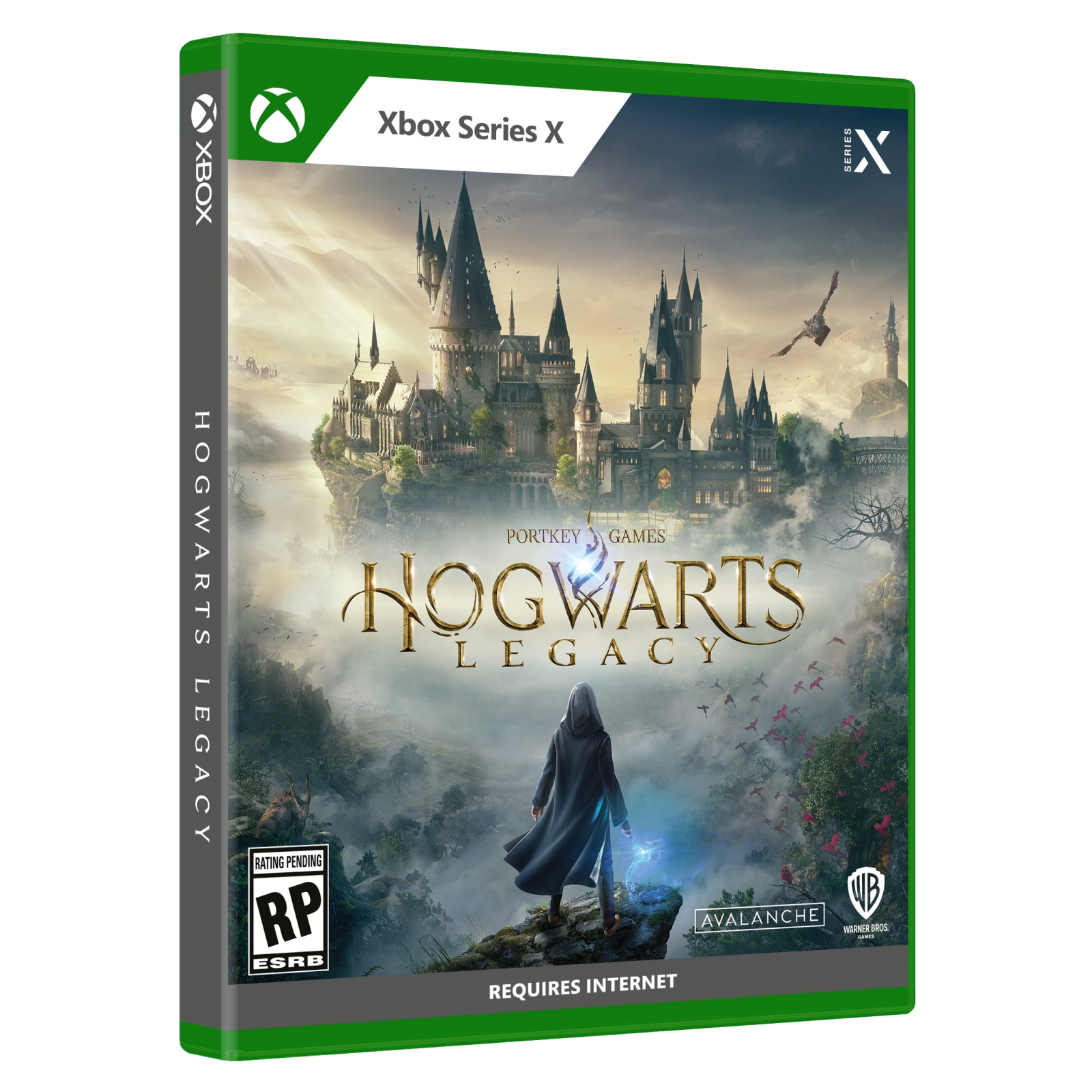Игра Xbox Hogwarts Legacy, BD диск (5051895413449) изображение 11
