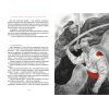 Книга Бісова душа, або Заклятий скарб - Володимир Аренєв А-ба-ба-га-ла-ма-га (9786175851814) зображення 2