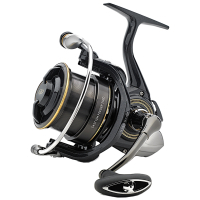 Катушка Daiwa_ТОВ 19 Cast'izm Feeder 25QD (2135.31.50)