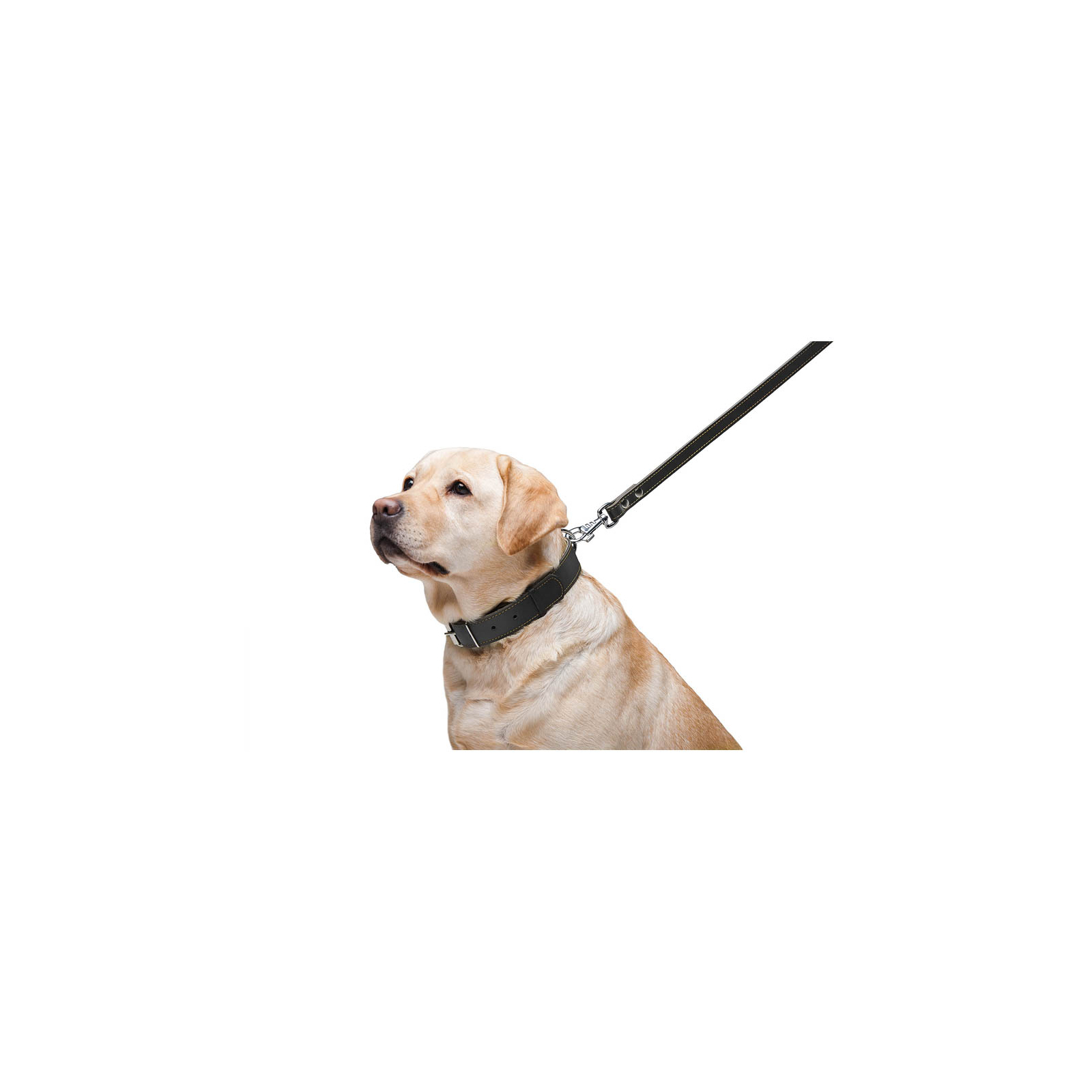 Поводок для собак Collar двойной с прошивкой Ш 14 мм Д 122 см черный (04521) изображение 6