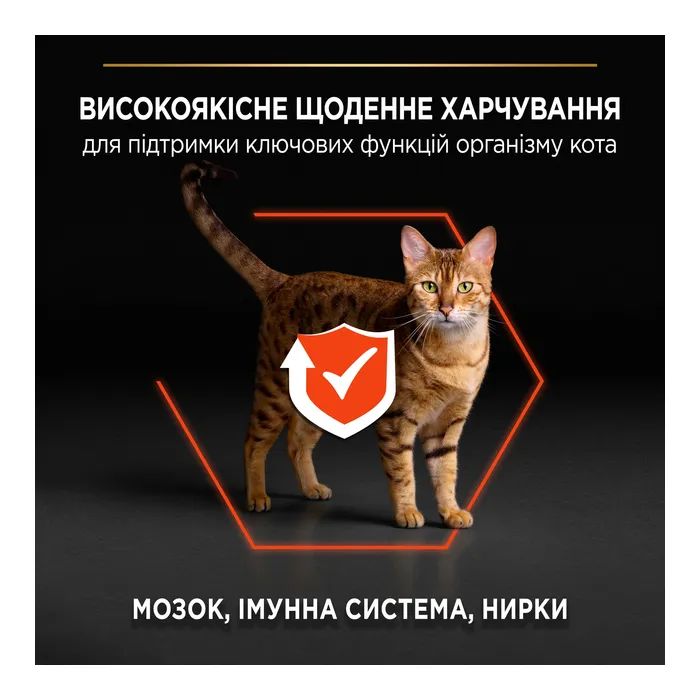 Сухой корм для кошек Purina Pro Plan Original с лососем 10 кг (7613036508315) изображение 5