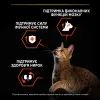 Сухой корм для кошек Purina Pro Plan Original с лососем 10 кг (7613036508315) изображение 6