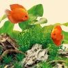 Світильник для акваріума Juwel Nature LED 1200 мм (4022573868326) зображення 3