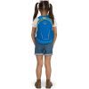 Рюкзак туристичний Osprey Daylite Jr 10 alpin blue/blue flame O/S (009.3467) зображення 4