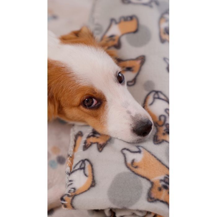 Плед Ardesto Fleece 100% полиэстер 130x160см бежевый (ART0714PB) изображение 7