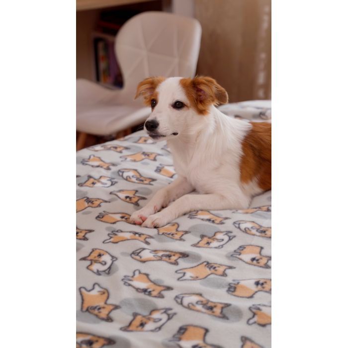 Плед Ardesto Fleece 100% полиэстер 130x160см бежевый (ART0714PB) изображение 8