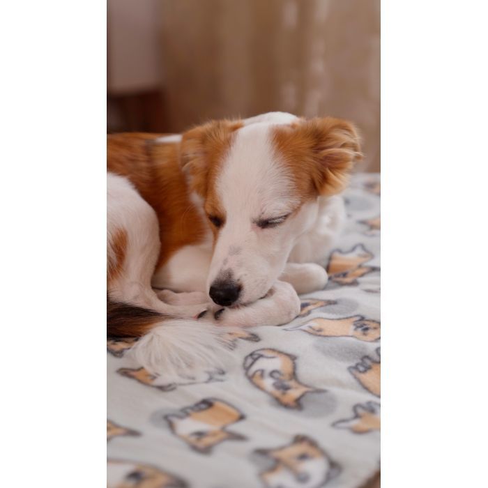 Плед Ardesto Fleece 100% полиэстер 130x160см бежевый (ART0714PB) изображение 9