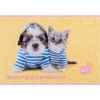 Альбом для рисования Kite Studio Pets, 12 листов (SP24-241) изображение 5