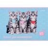Альбом для малювання Kite Studio Pets, 12 аркушів (SP24-241) зображення 9