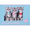 Альбом для рисования Kite Studio Pets, 12 листов (SP24-241) изображение 9