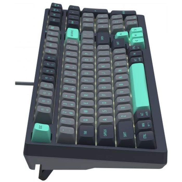 Клавиатура A4Tech FS300 FS Switches USB Panda Rock Climbin (4711422003086) изображение 5