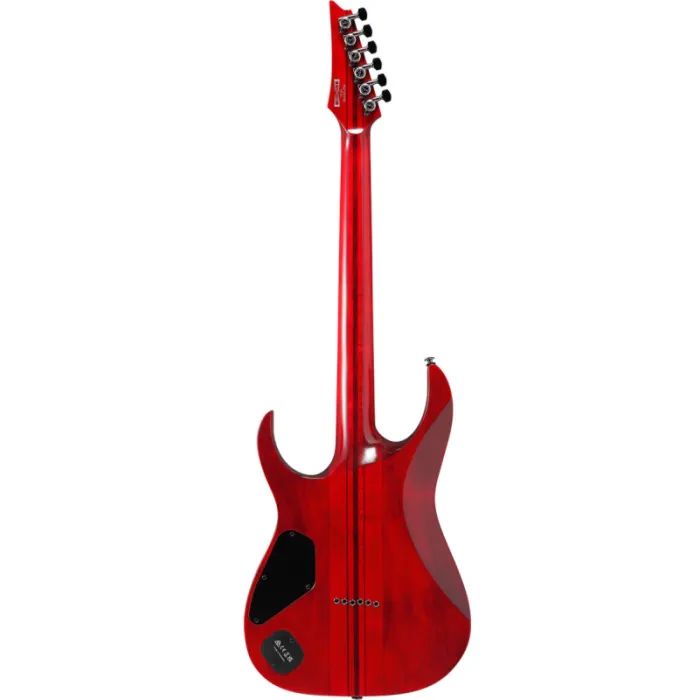 Электрогитара Ibanez RGT1221PB SWL (234938) изображение 2