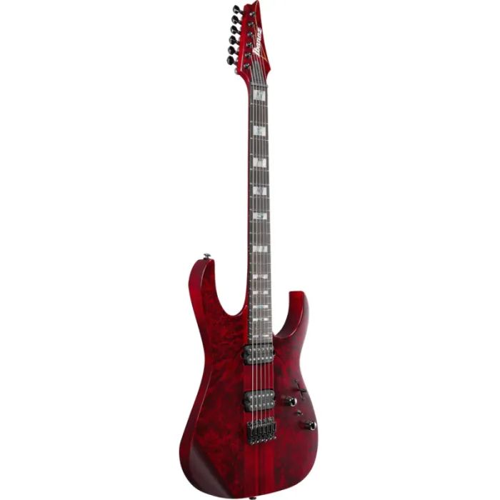 Электрогитара Ibanez RGT1221PB SWL (234938) изображение 3