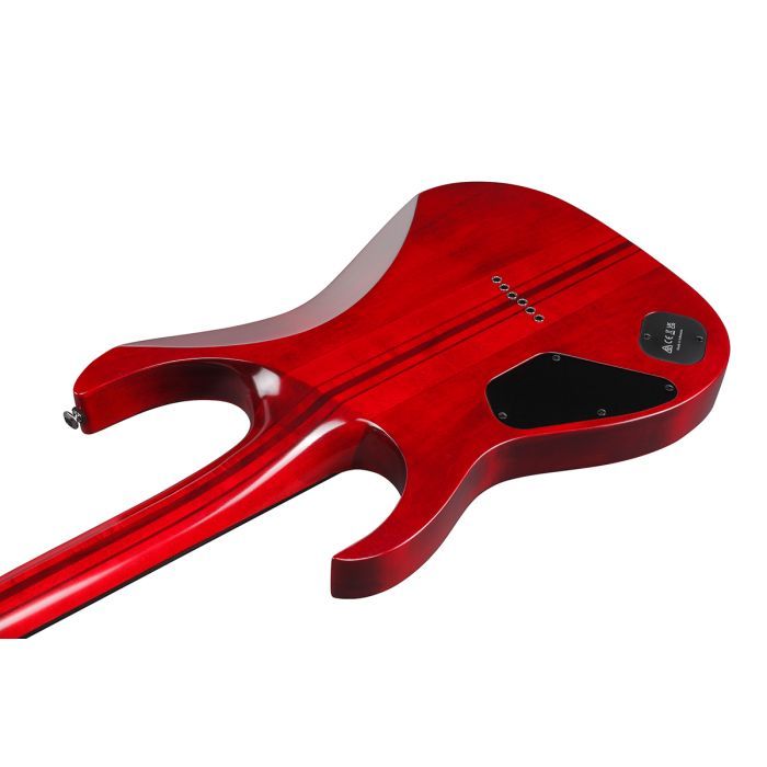 Электрогитара Ibanez RGT1221PB SWL (234938) изображение 5
