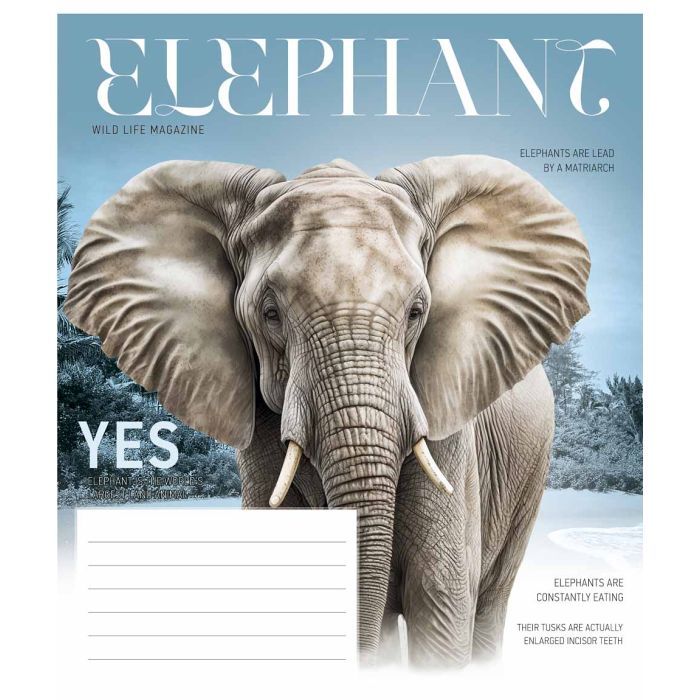 Тетрадь Школярик Fauna magazine 12 листов линия (012-3428L) изображение 3