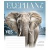Тетрадь Школярик Fauna magazine 12 листов линия (012-3428L) изображение 3