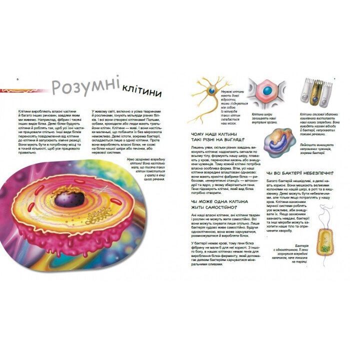 Книга Геніальні гени - Патрік А. Боерле Ранок (9786170969880) изображение 2