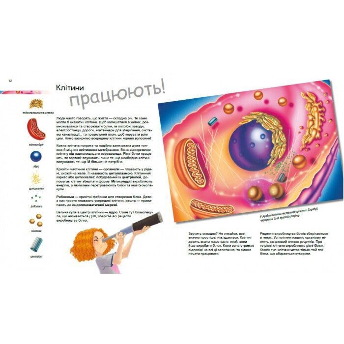 Книга Дивовижний світ клітин - Патрік А. Боерле Ранок (9786170969897) изображение 4