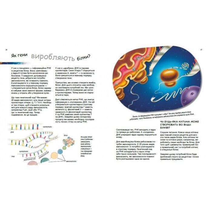 Книга Дивовижний світ клітин - Патрік А. Боерле Ранок (9786170969897) изображение 6