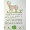Книга Читаємо про Україну Ранок (9786170986238) изображение 8