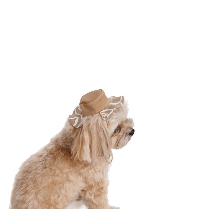 Кепка для животных Pet Fashion Print L (4823082446087) изображение 2