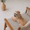 Кепка для животных Pet Fashion Print L (4823082446087) изображение 6