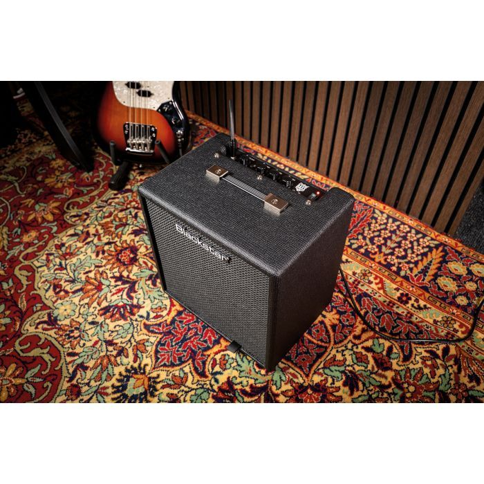 Комбопідсилювач Blackstar Debut Bass 25 (302021) зображення 5